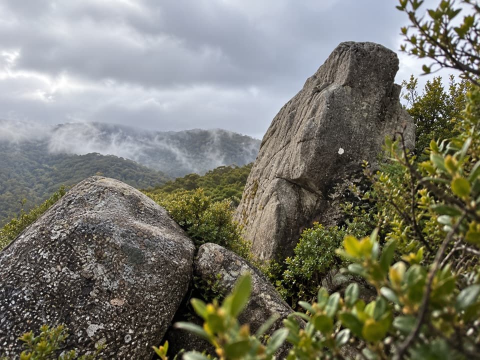 Castle Rocks in Abel Tasman National Park