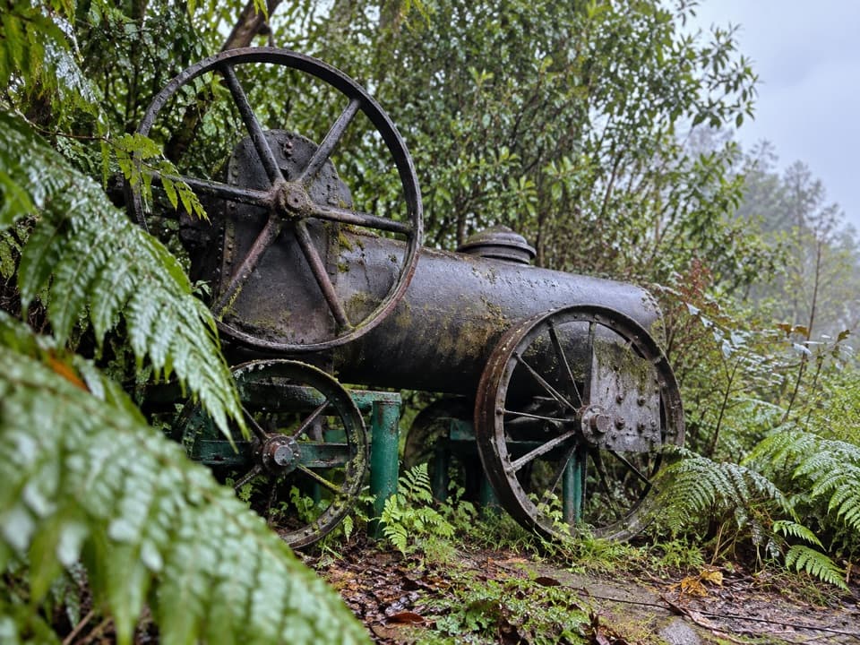 Awaroa Steam Engine in Abel Tasman National Park