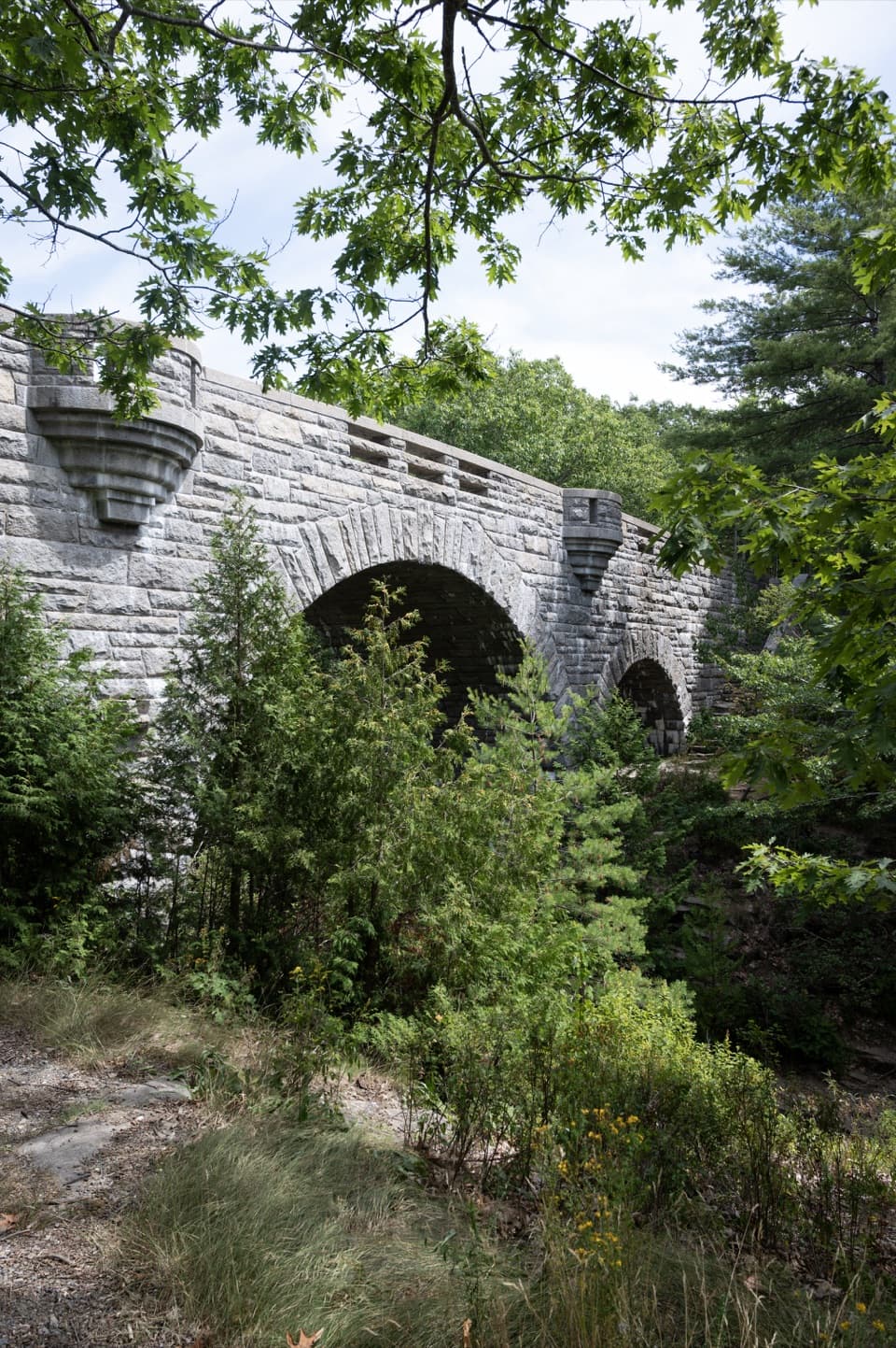 Duck Brook Bridge in Acadia National Park