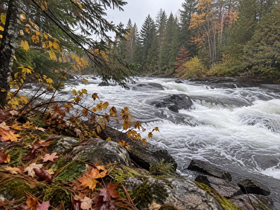 Tea Lake Dam Picnic Ground in Algonquin Provincial Park