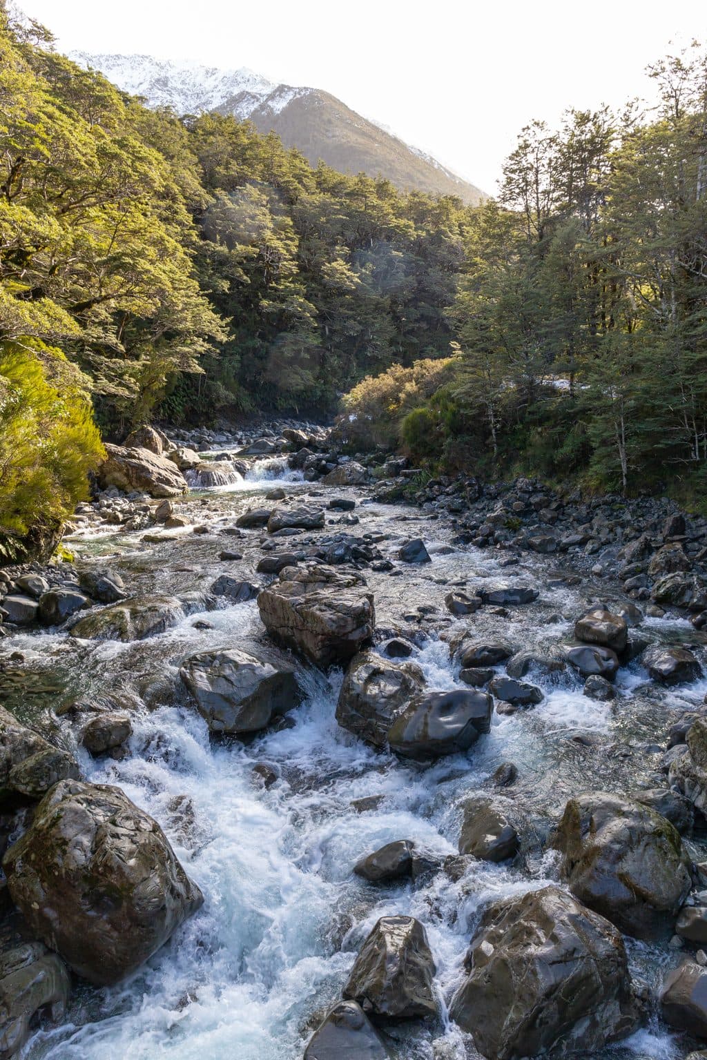 Bealey Chasm in Arthur's Pass National Park