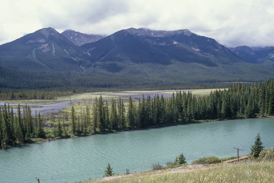 Backswamp Viewpoint in Banff National Park