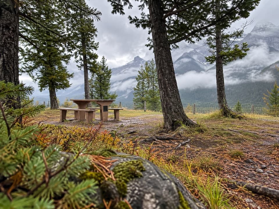 Valleyview Picnic Area in Banff National Park
