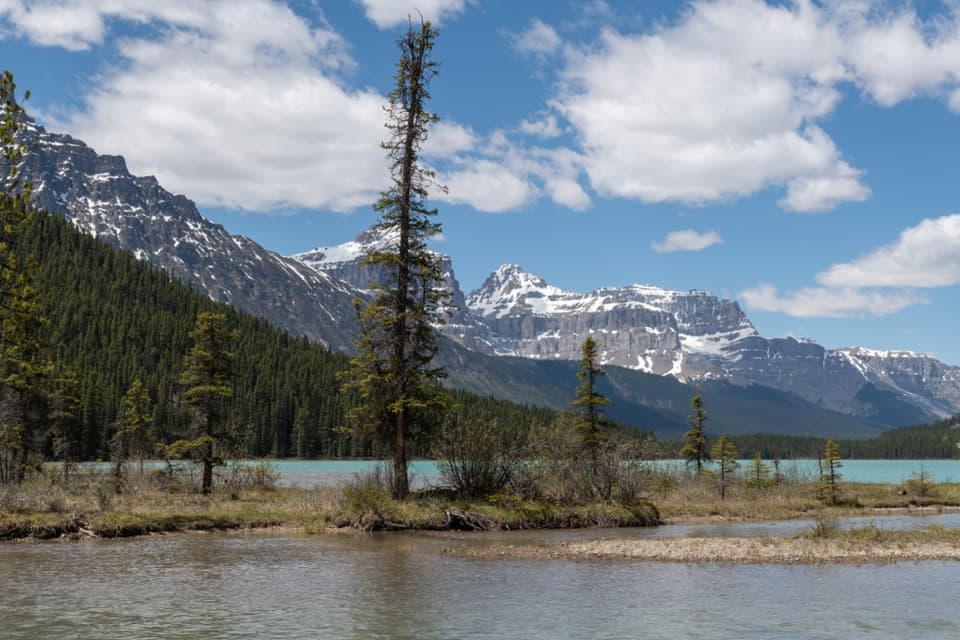 Waterfowl Lakes Campground in Banff National Park