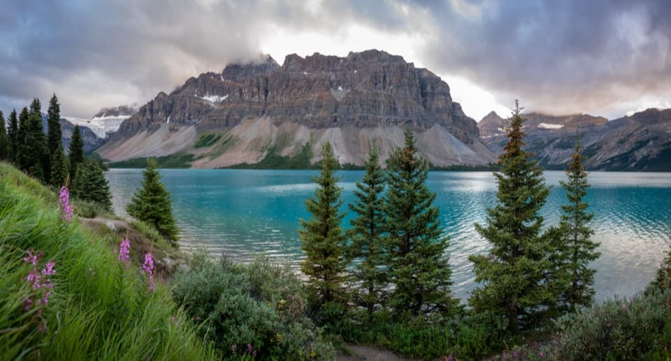 Bow Lake Picnic Site in Banff National Park