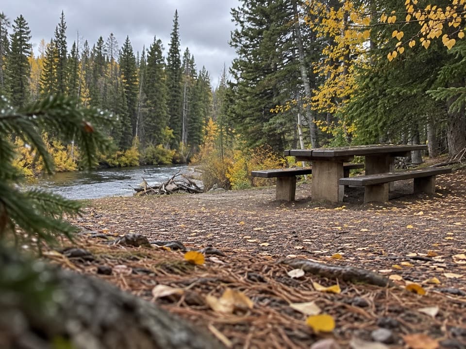 Clarks Fork Picnic Area in Beartooth Highway