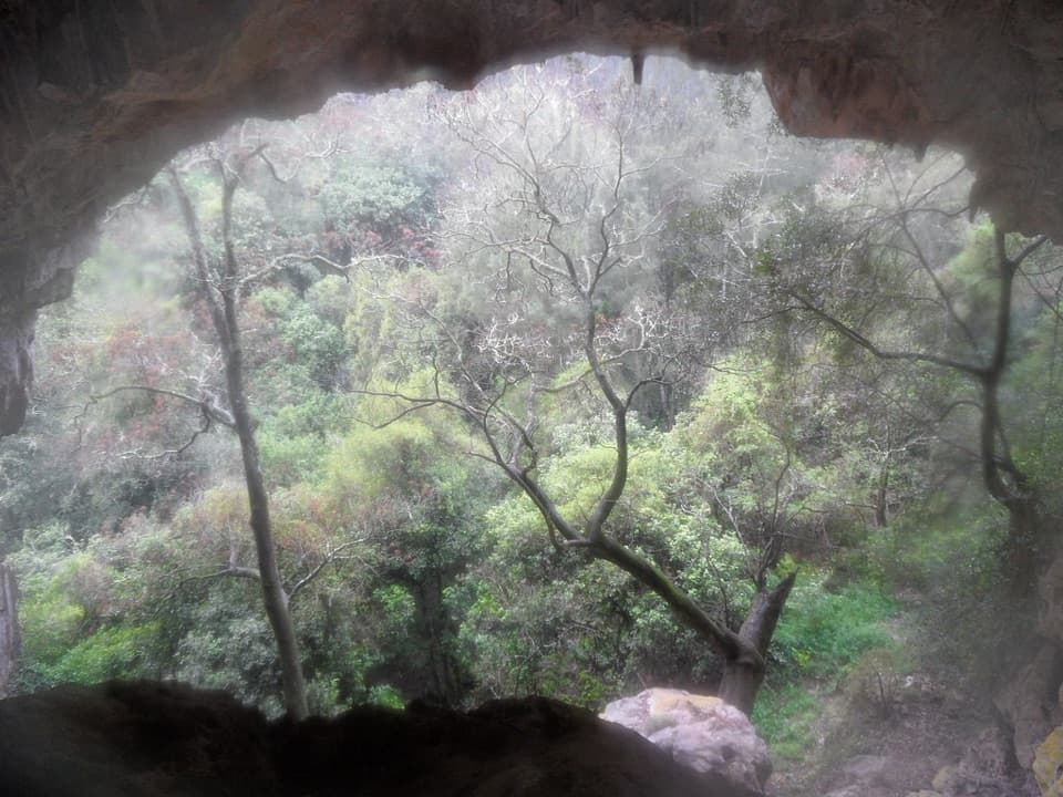 Colong Caves in Blue Mountains National Park