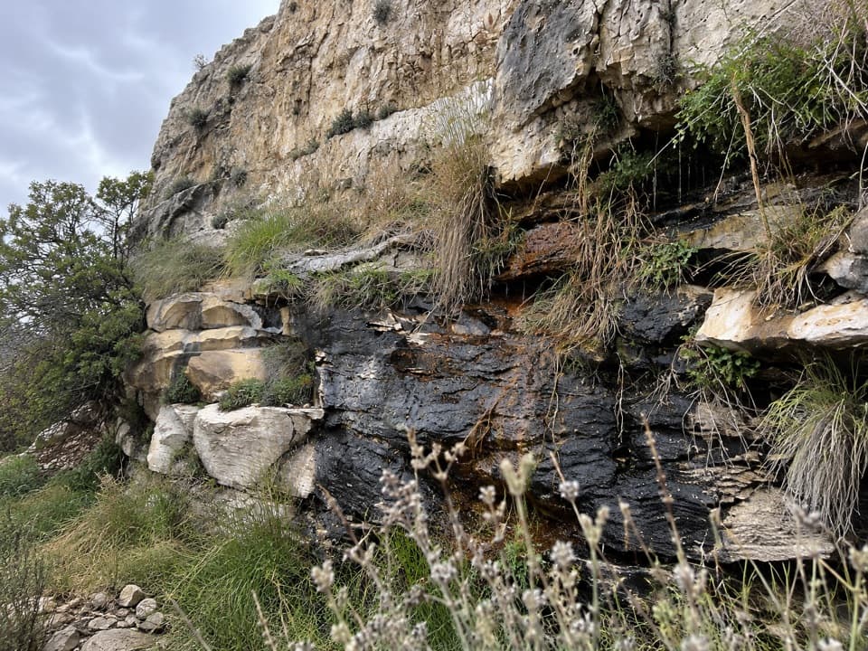 Big Hill Seep in Carlsbad Caverns National Park