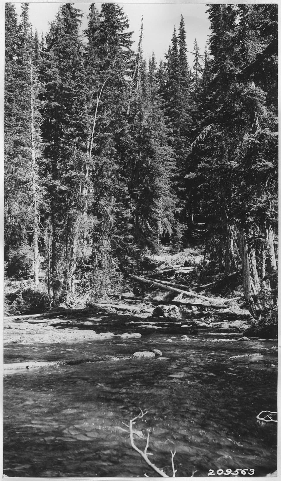 Boundary Springs in Crater Lake National Park
