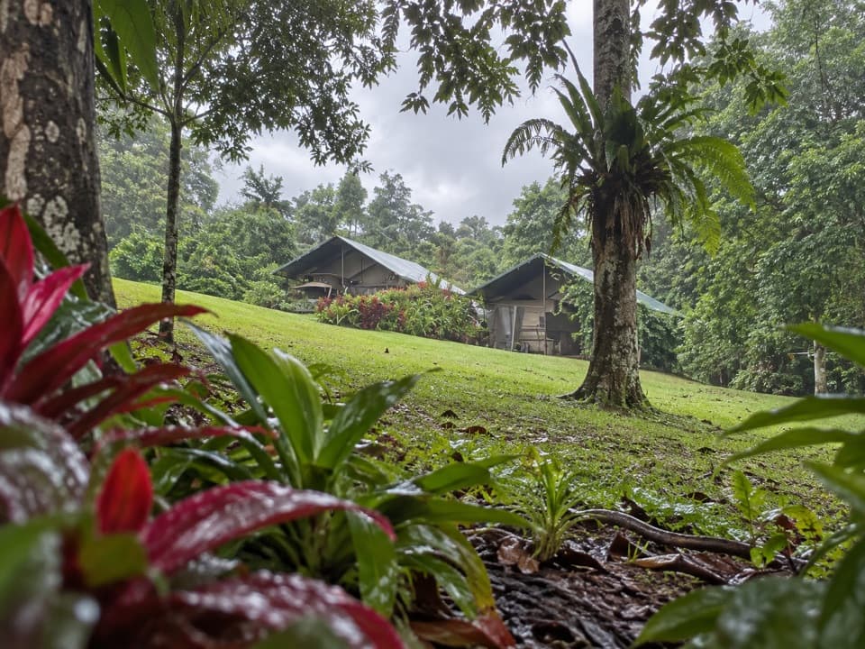 Daintree Rainforest Village in Daintree National Park