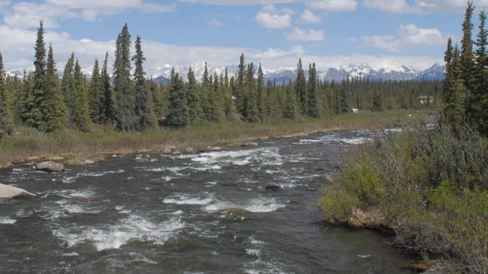 Brushkana Creek Campground in Denali Highway
