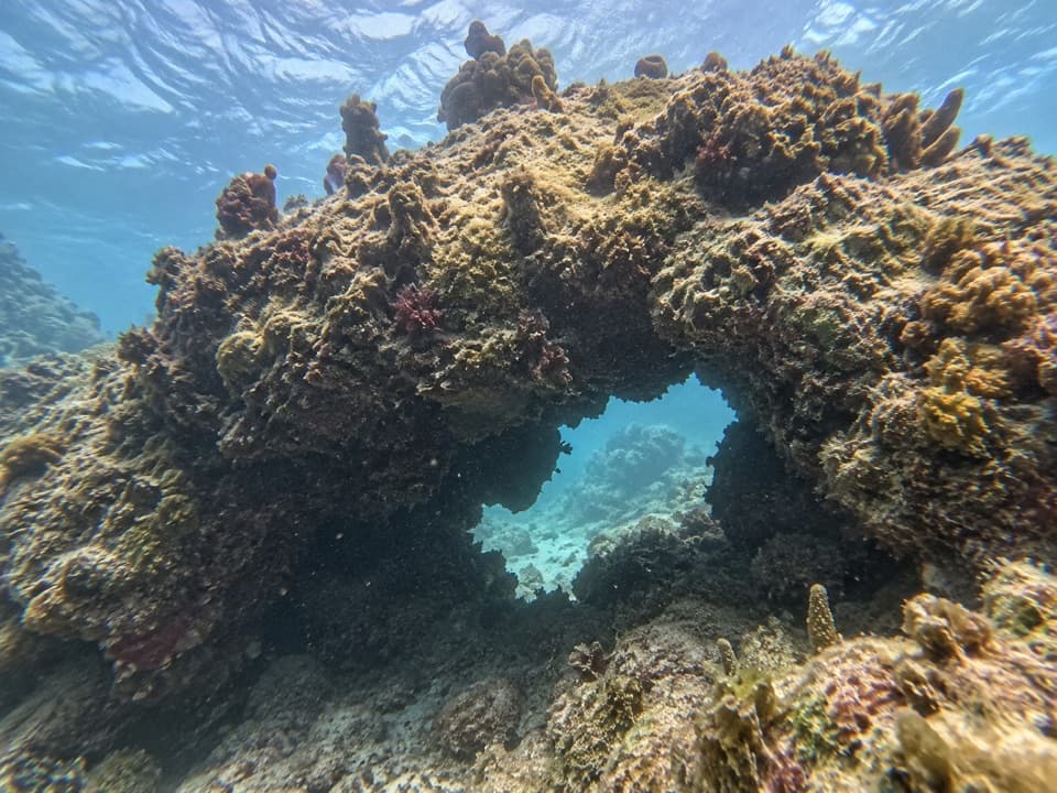 Davis Rock in Dry Tortugas National Park