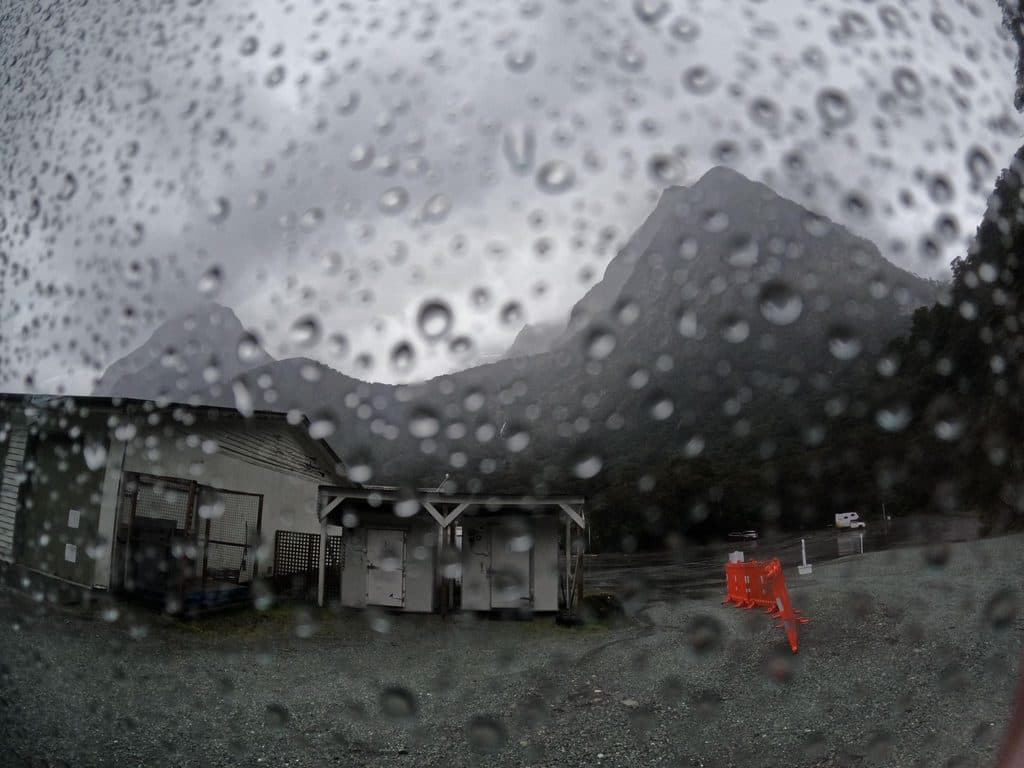 Allied in Fiordland National Park