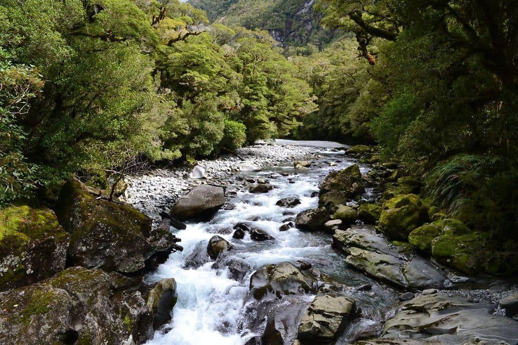The Chasm in Fiordland National Park