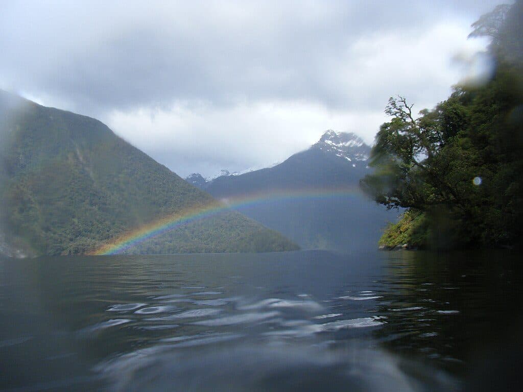 Bradshaw Sound / Kaikiekie in Fiordland National Park