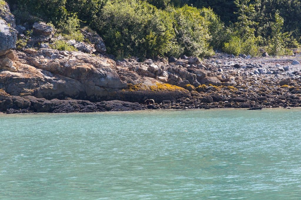 Queen Inlet in Glacier Bay National Park