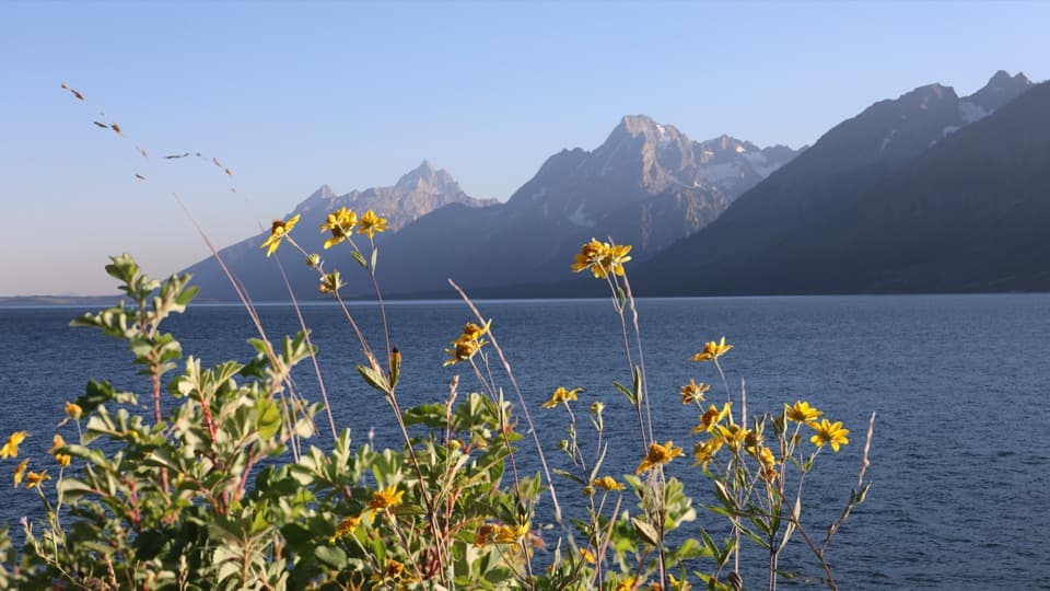 Mud Flats Picnic Area in Grand Teton National Park