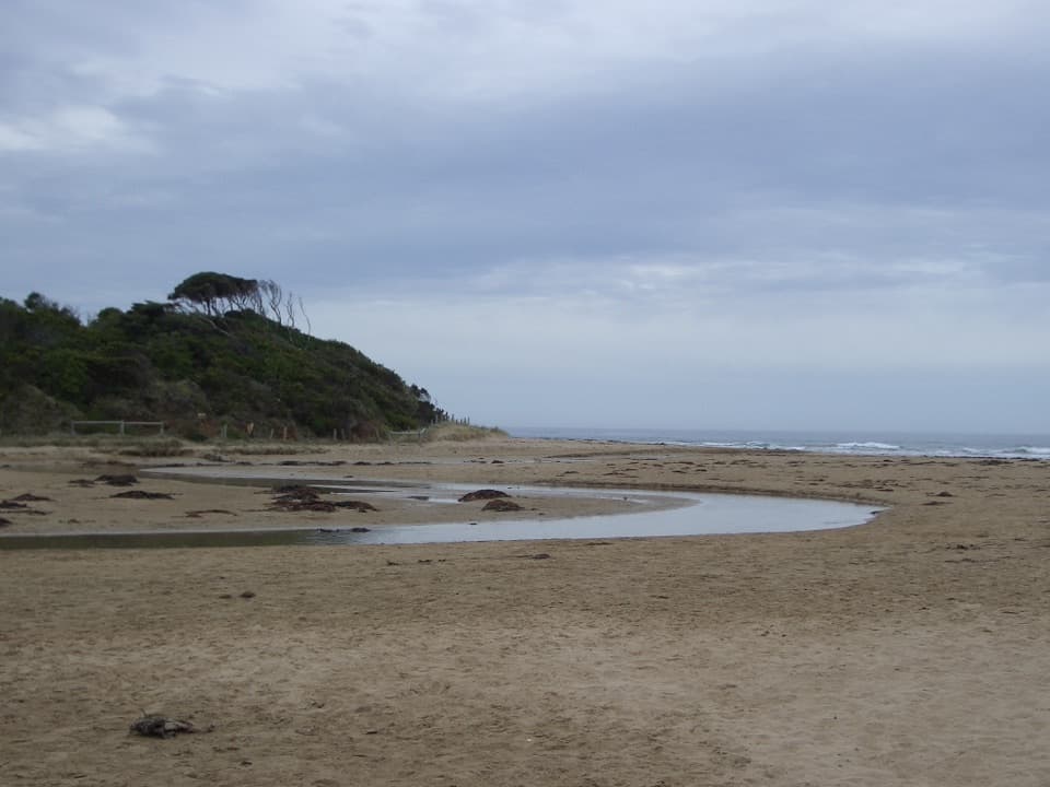 Anglesea Riverbanks Walk in Great Ocean Road