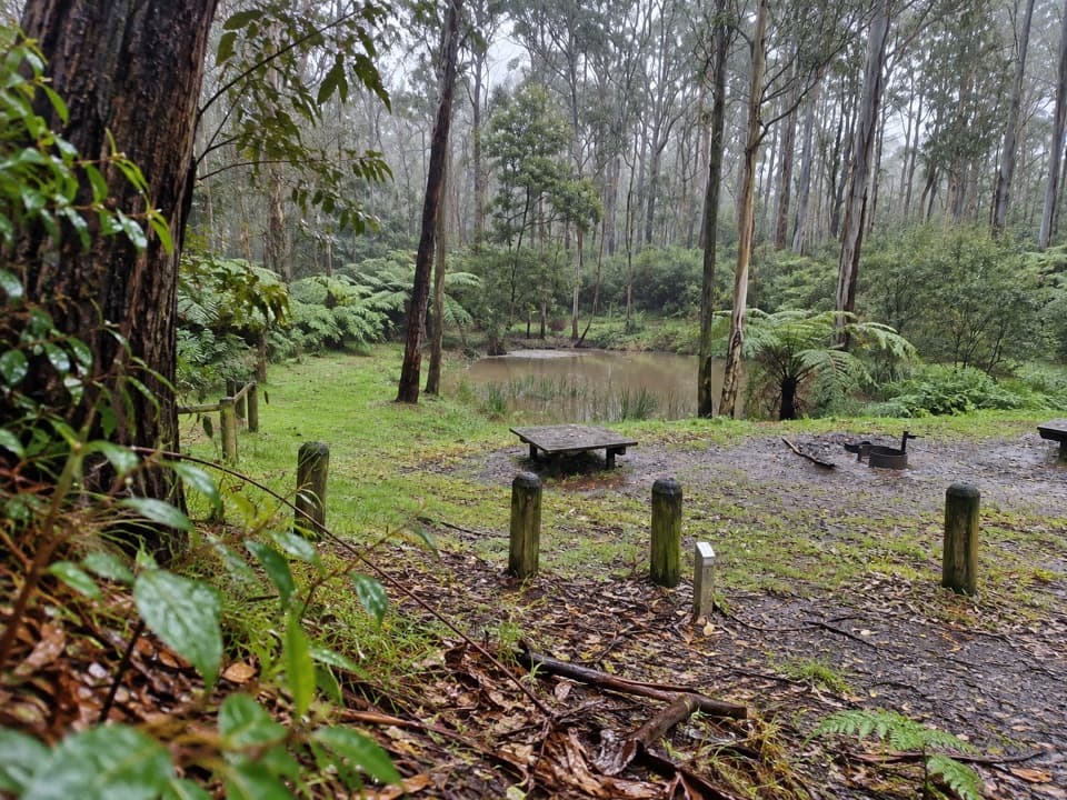 Big Hill Campground in Great Ocean Road