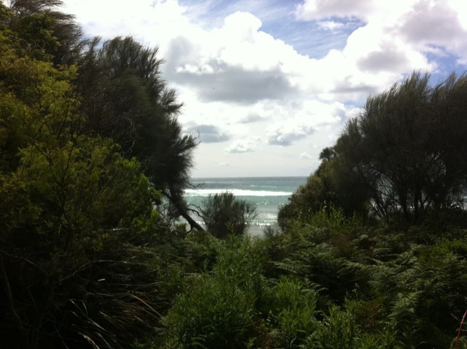Blanket Bay Campground in Great Otway National Park