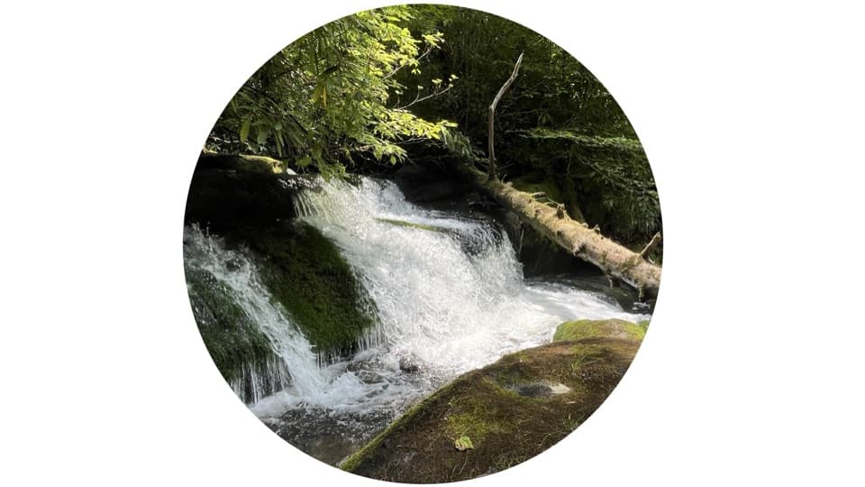 Twentymile Cascade in Great Smoky Mountains National Park
