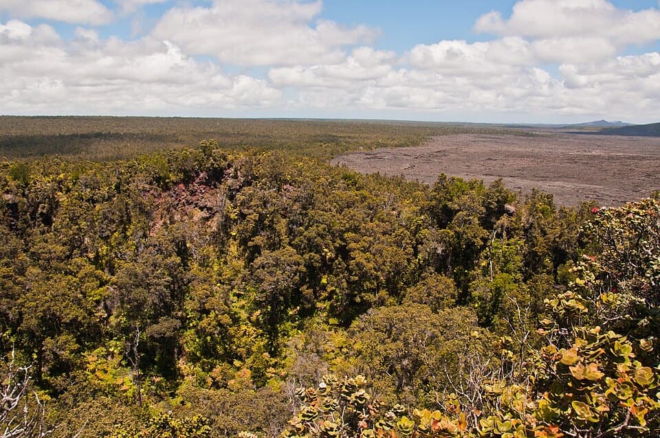 Puʻuhuluhulu Overlook in Hawaiʻi Volcanoes National Park