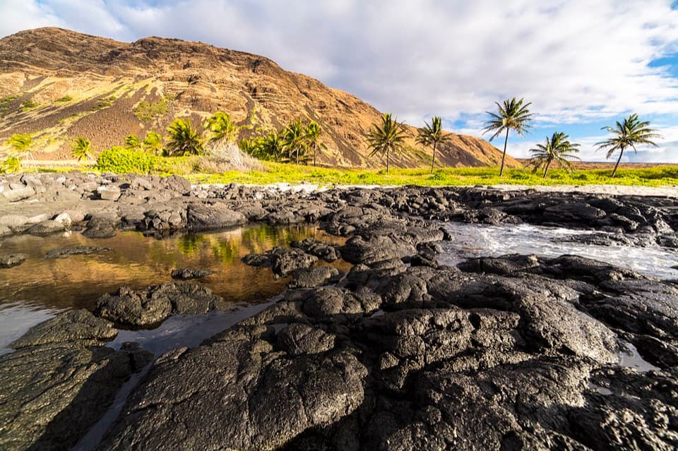 Halapē in Hawaiʻi Volcanoes National Park