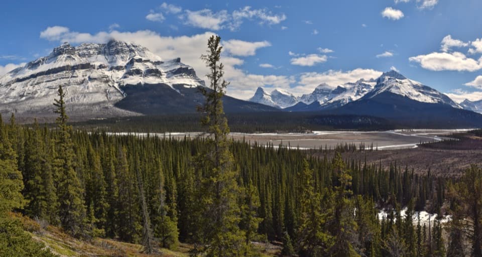 Howse Pass Viewpoint in Banff National Park