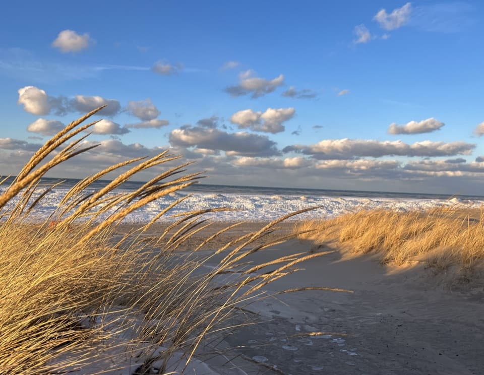 Kemil Beach in Indiana Dunes National Park