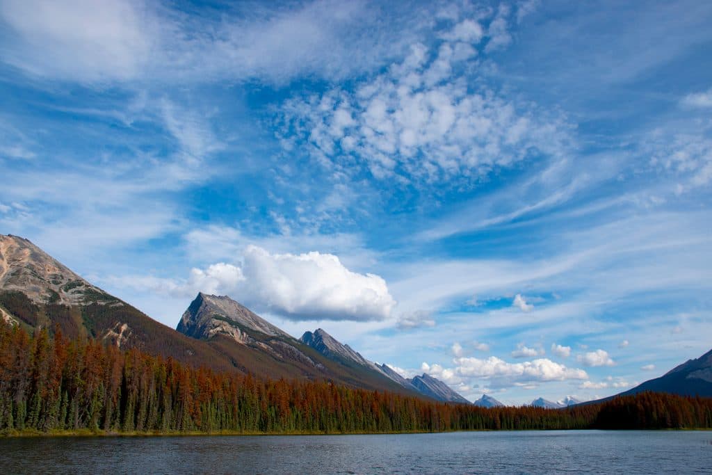 Endless Chain Ridge in Jasper National Park