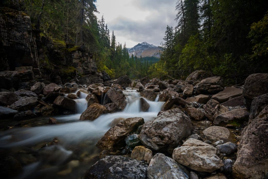 Miette Hot Springs in Jasper National Park