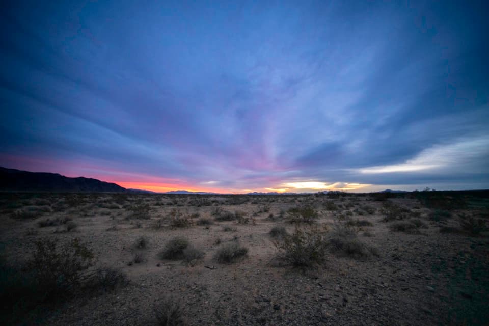 Turkey Flats in Joshua Tree National Park