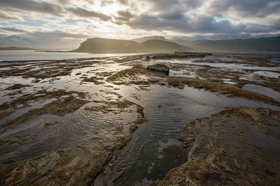 Kamishak Bay in Katmai National Park