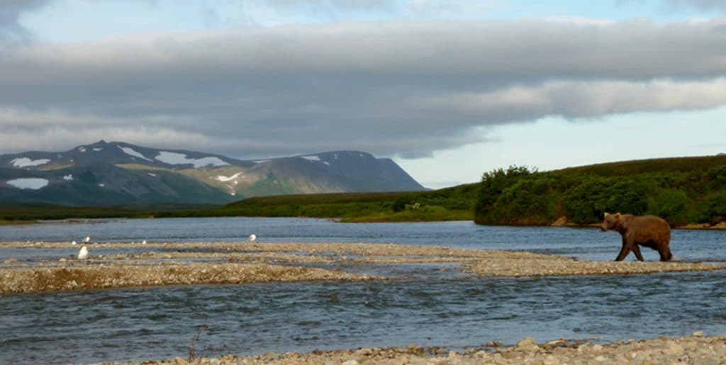 Moraine Creek in Katmai National Park