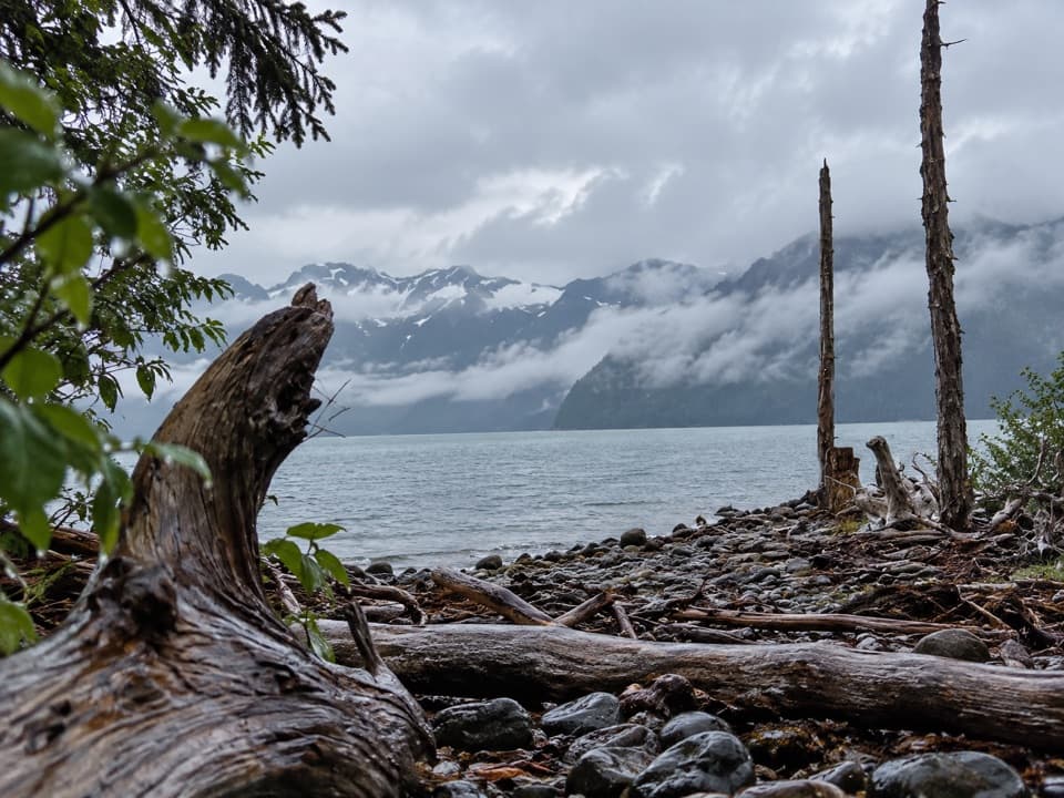 McMullen Cove in Kenai Fjords National Park