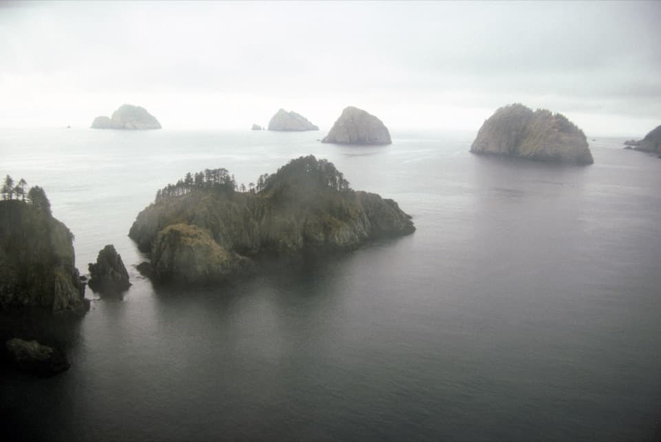 Chiswell Islands in Kenai Fjords National Park