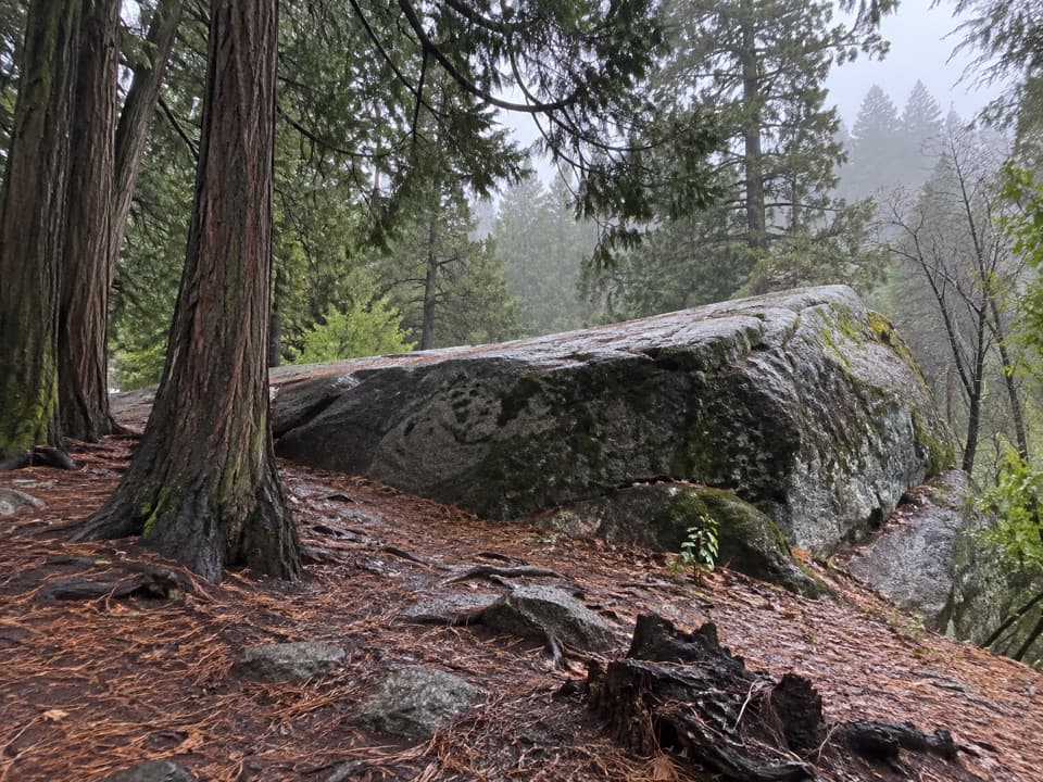 Muir Rock in Kings Canyon National Park