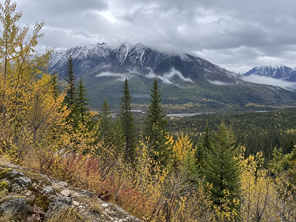 Hector Gorge Viewpoint in Kootenay National Park