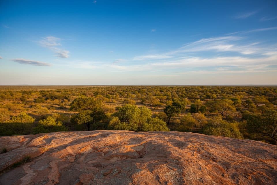 Mathekenyane Lookout in Kruger National Park