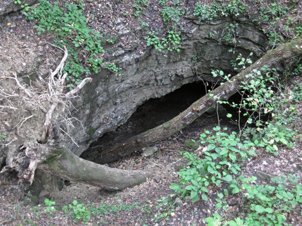 Dixon Cave Overlook Trail in Mammoth Cave National Park