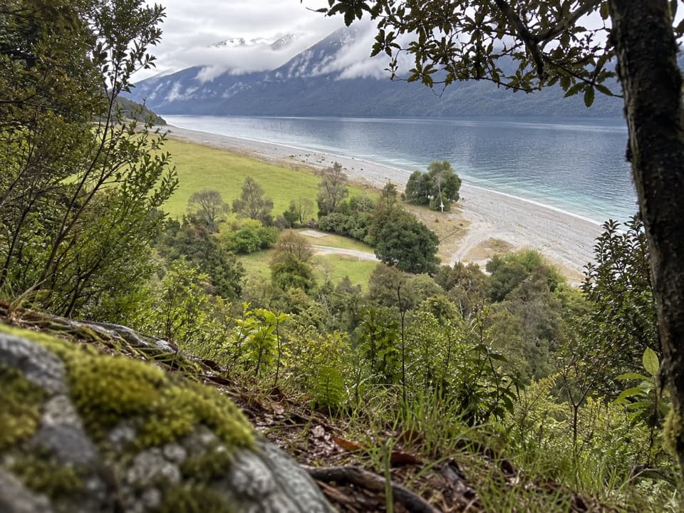 Kidds Bush Reserve Campsite in Mount Aspiring National Park