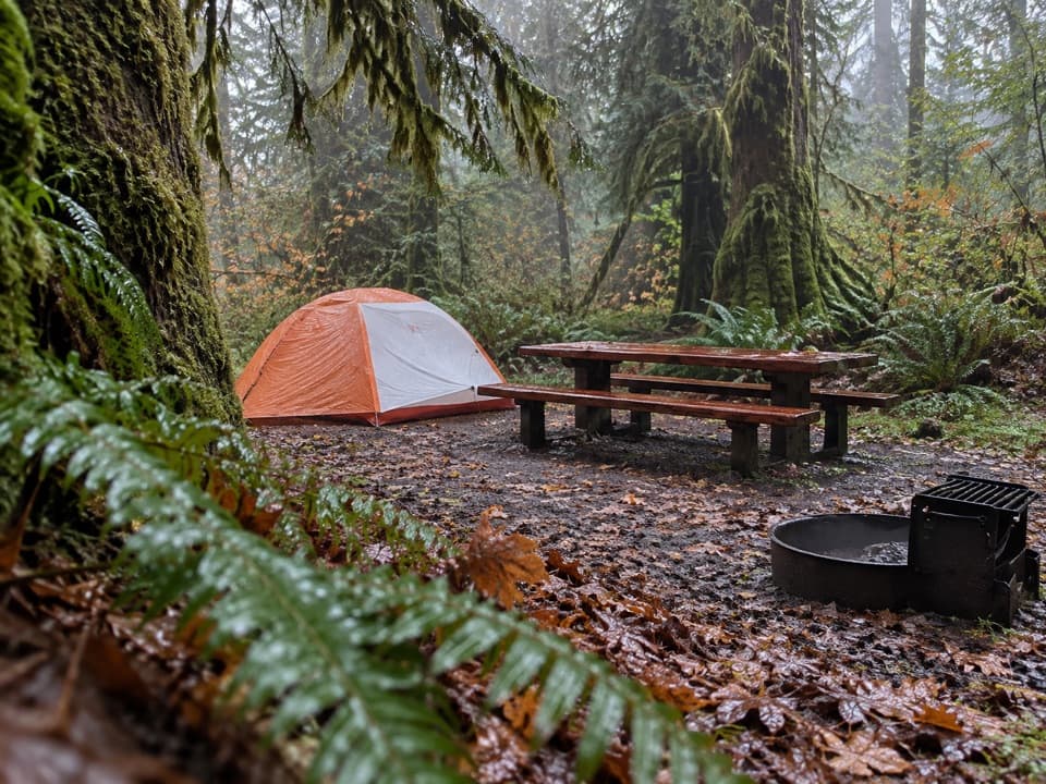 Queets Campground in Olympic National Park