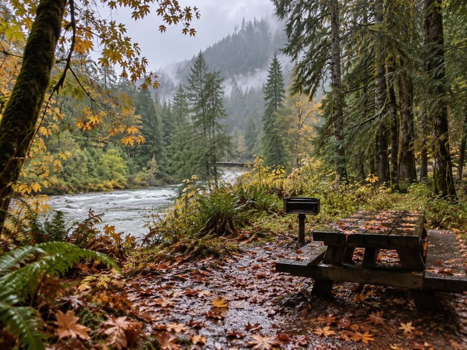 Staircase Picnic Area in Olympic National Park