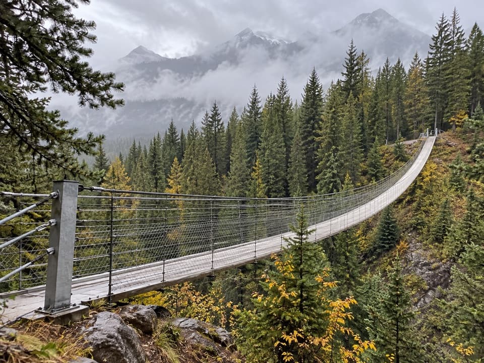 Blackshale Creek Suspension Bridge in Peter Lougheed Provincial Park