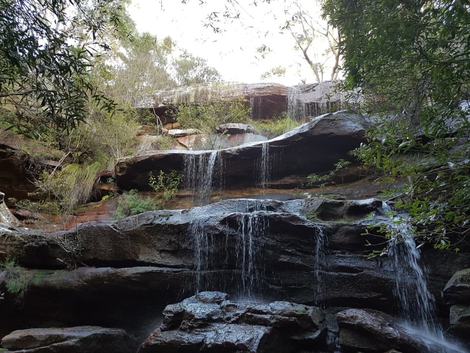 Uloola Falls Campground in Royal National Park