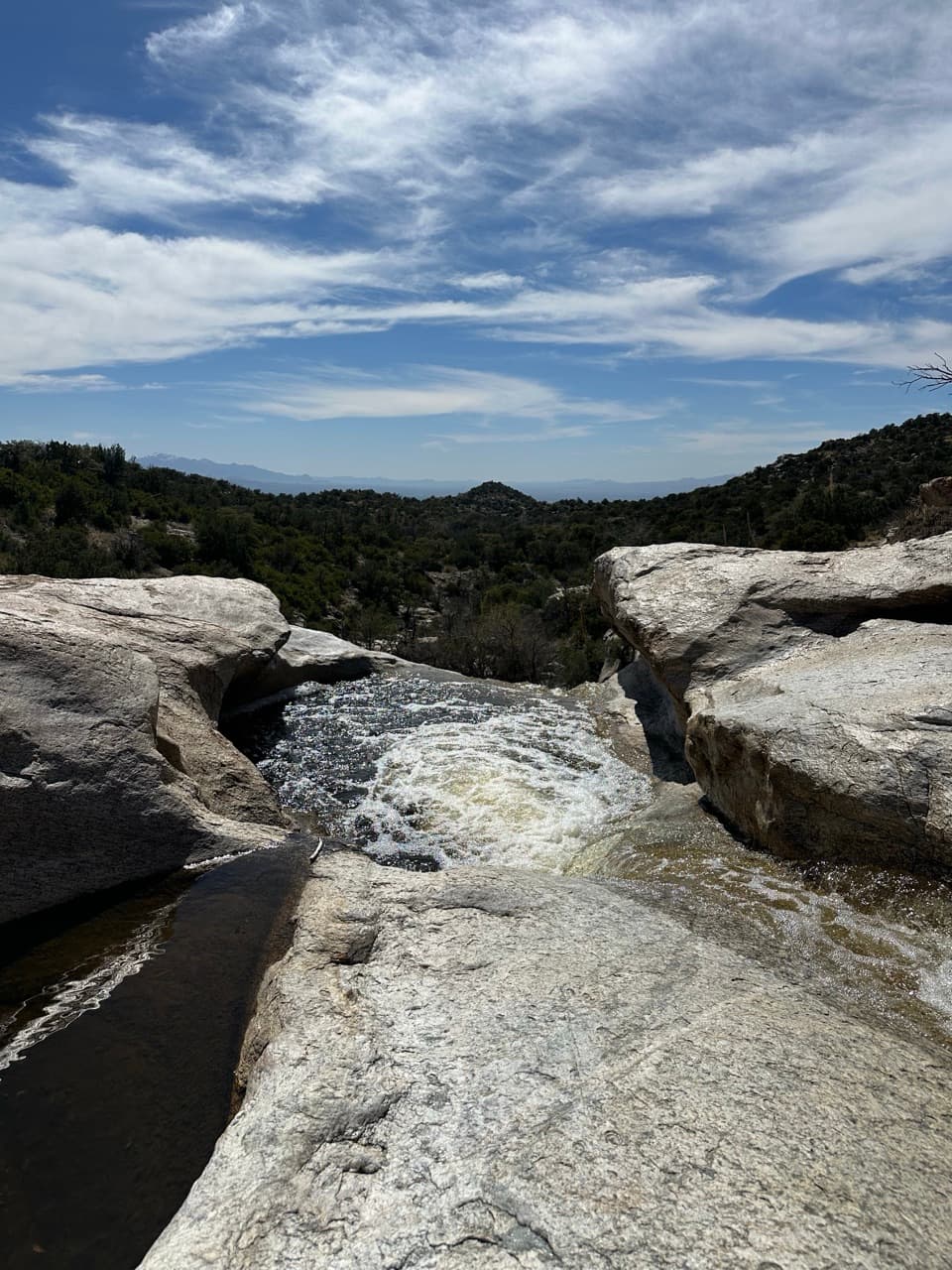 Grass Shack Campground in Saguaro National Park