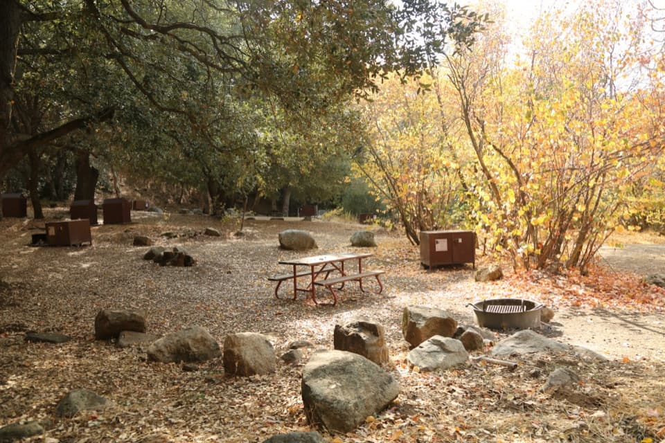 South Fork Campground in Sequoia National Park