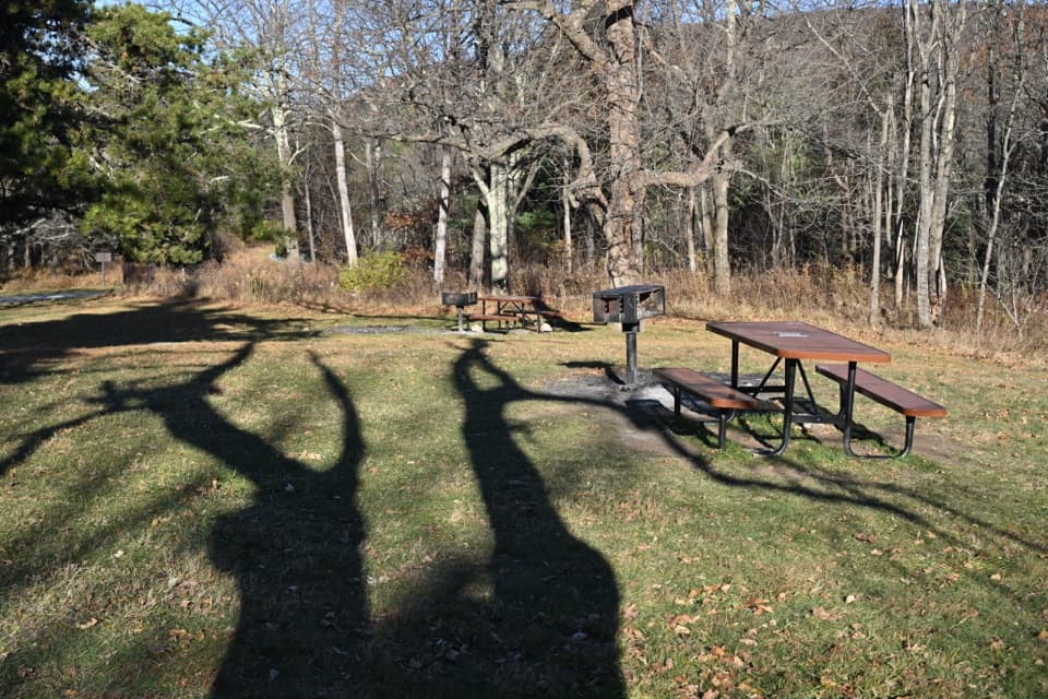 Pinnacles Picnic Grounds in Shenandoah National Park