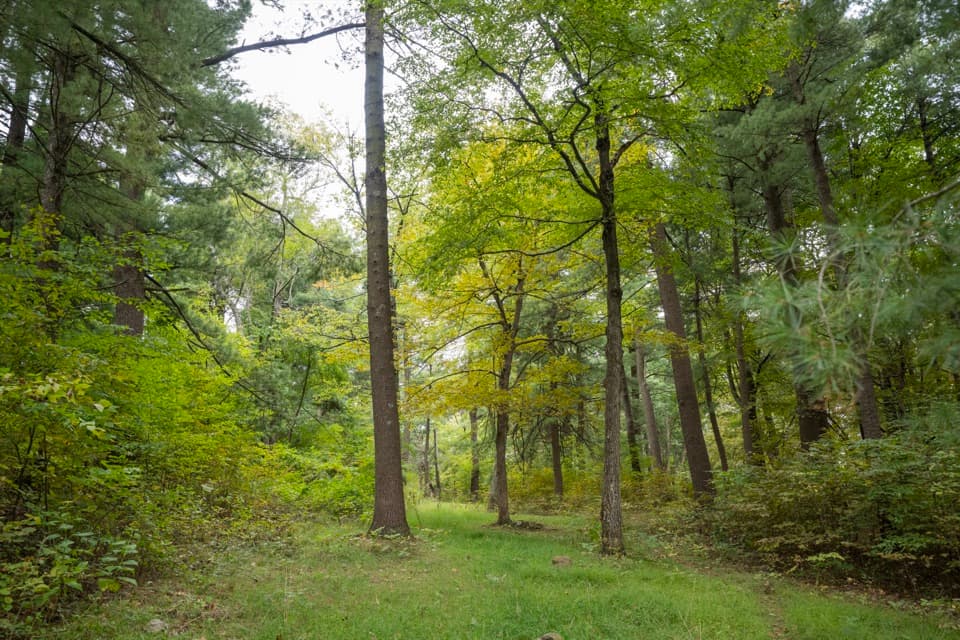 Elkwallow Picnic Grounds in Shenandoah National Park