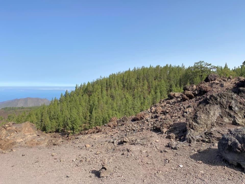 Los Poleos Viewpoint in Teide National Park
